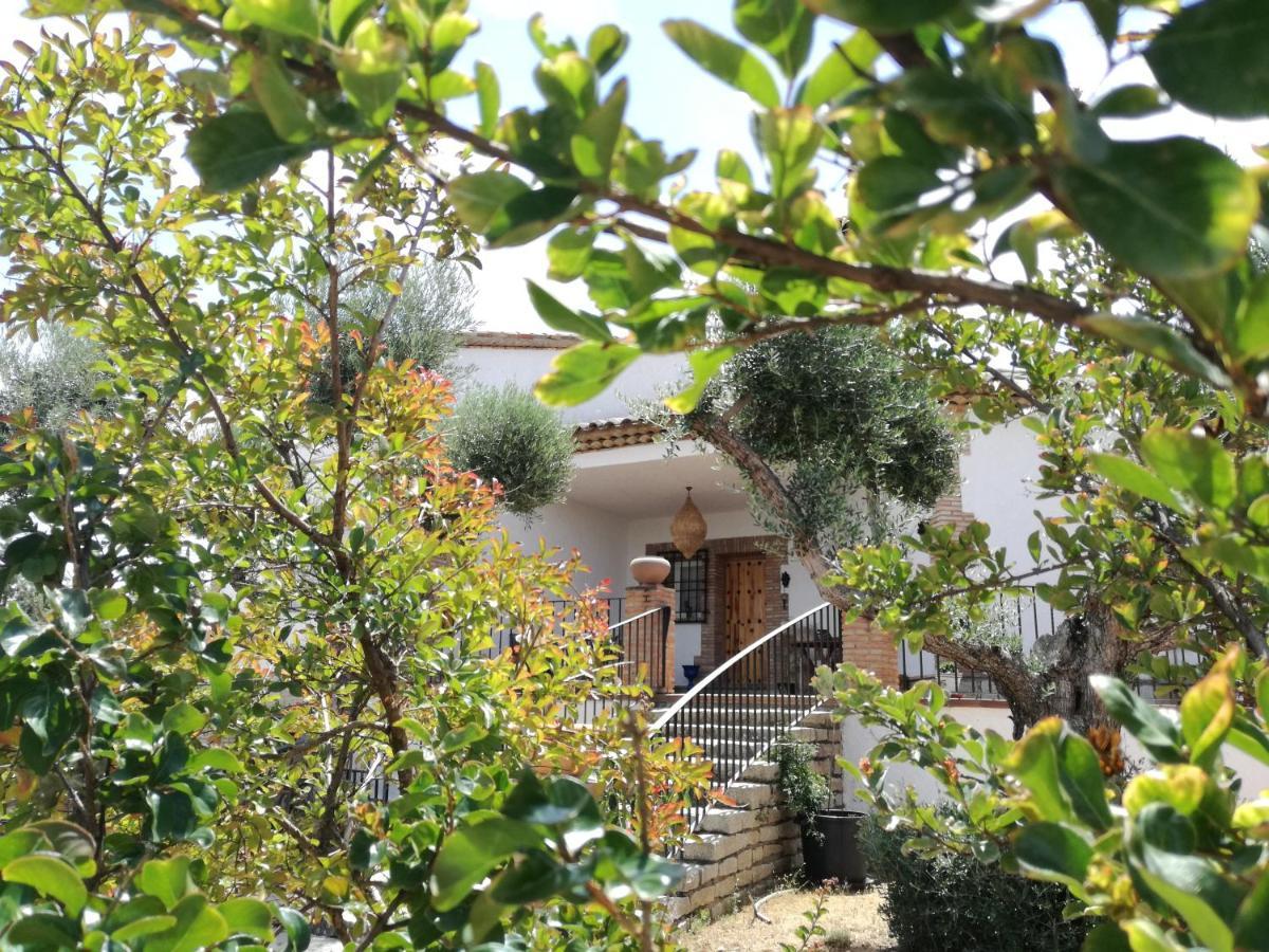 Casa Rural La Amistad Villa Burguillos de Toledo Buitenkant foto