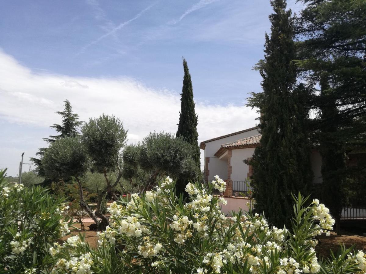 Casa Rural La Amistad Villa Burguillos de Toledo Buitenkant foto