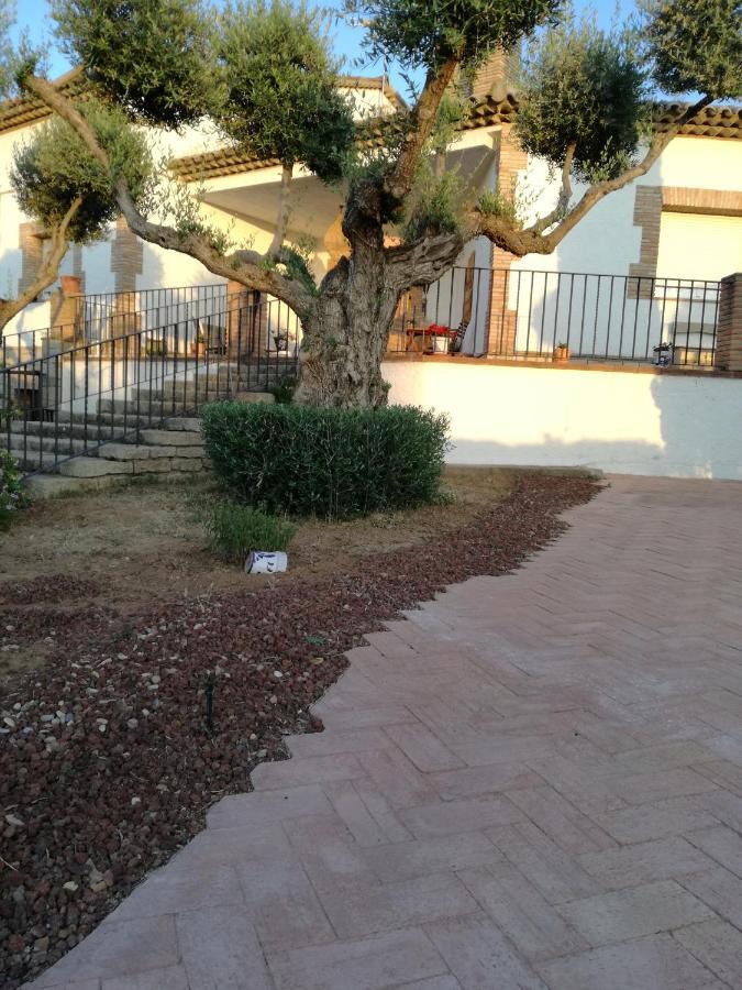 Casa Rural La Amistad Villa Burguillos de Toledo Buitenkant foto