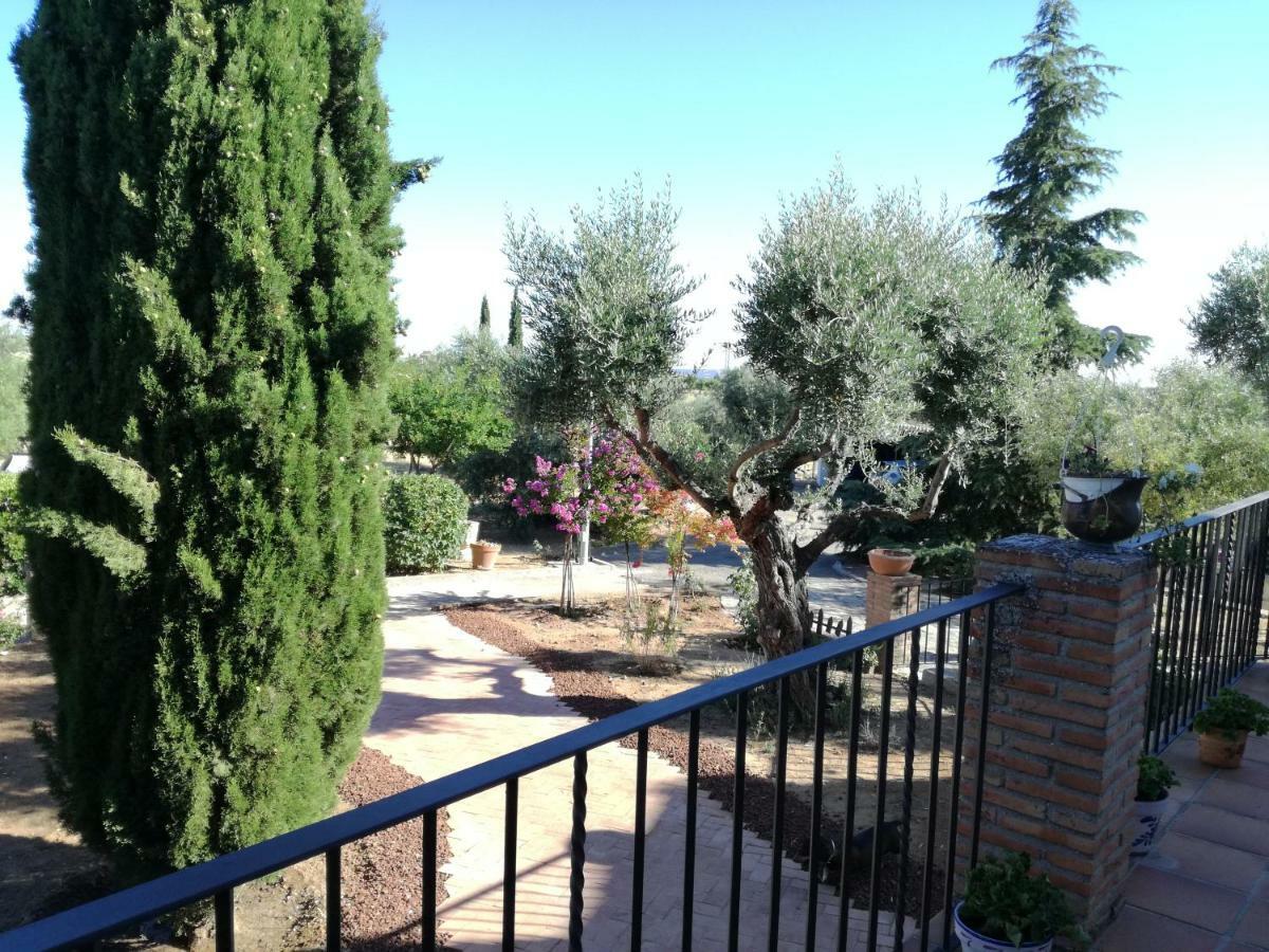 Casa Rural La Amistad Villa Burguillos de Toledo Buitenkant foto