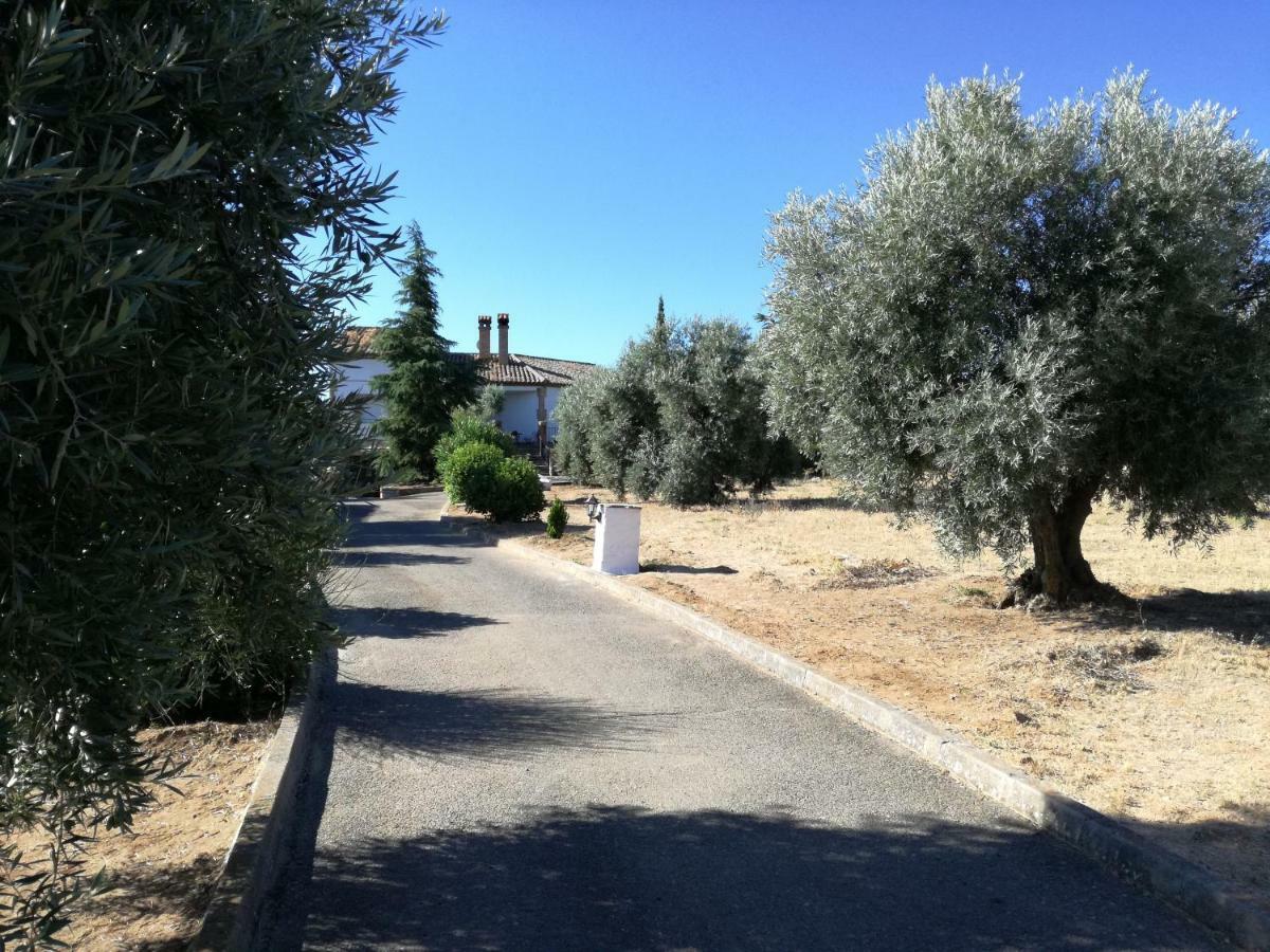 Casa Rural La Amistad Villa Burguillos de Toledo Buitenkant foto