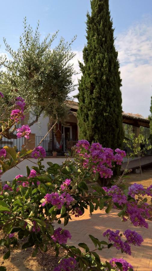Casa Rural La Amistad Villa Burguillos de Toledo Buitenkant foto