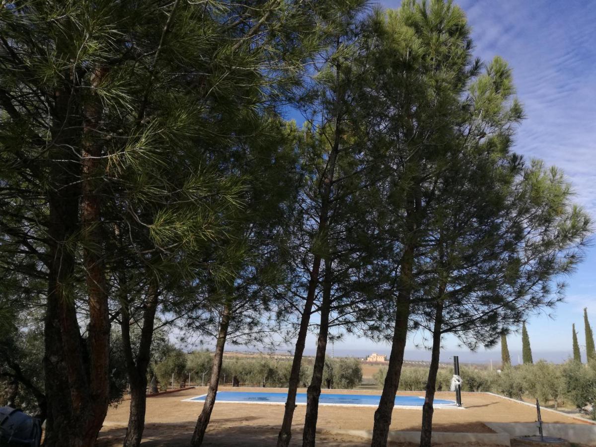 Casa Rural La Amistad Villa Burguillos de Toledo Buitenkant foto